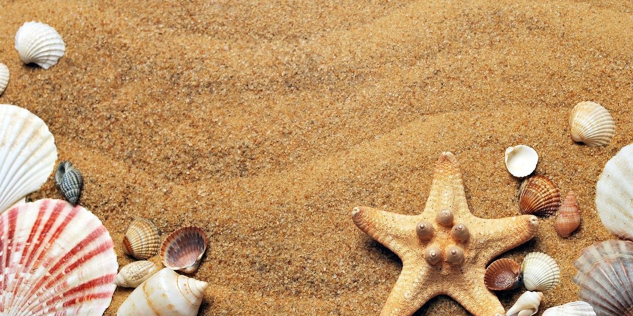 Probeer thuis het gevoel van vakantie vast te houden, kijk weer naar een schelp.