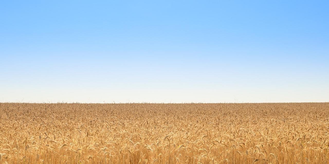 Waarom leegte soms zo belangrijk voor je is.