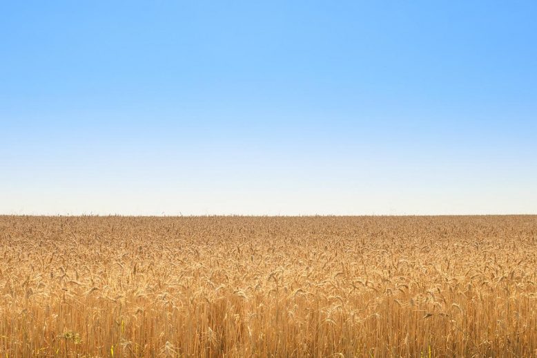 Waarom leegte soms zo belangrijk voor je is.