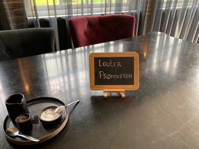 Lunchsessie van Louter Promoveren