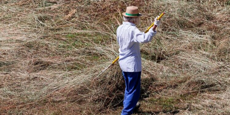 Wat is eigenlijk hard werken en het resultaat daarvan?