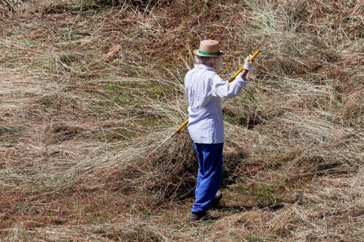 Wat is eigenlijk hard werken en het resultaat daarvan?