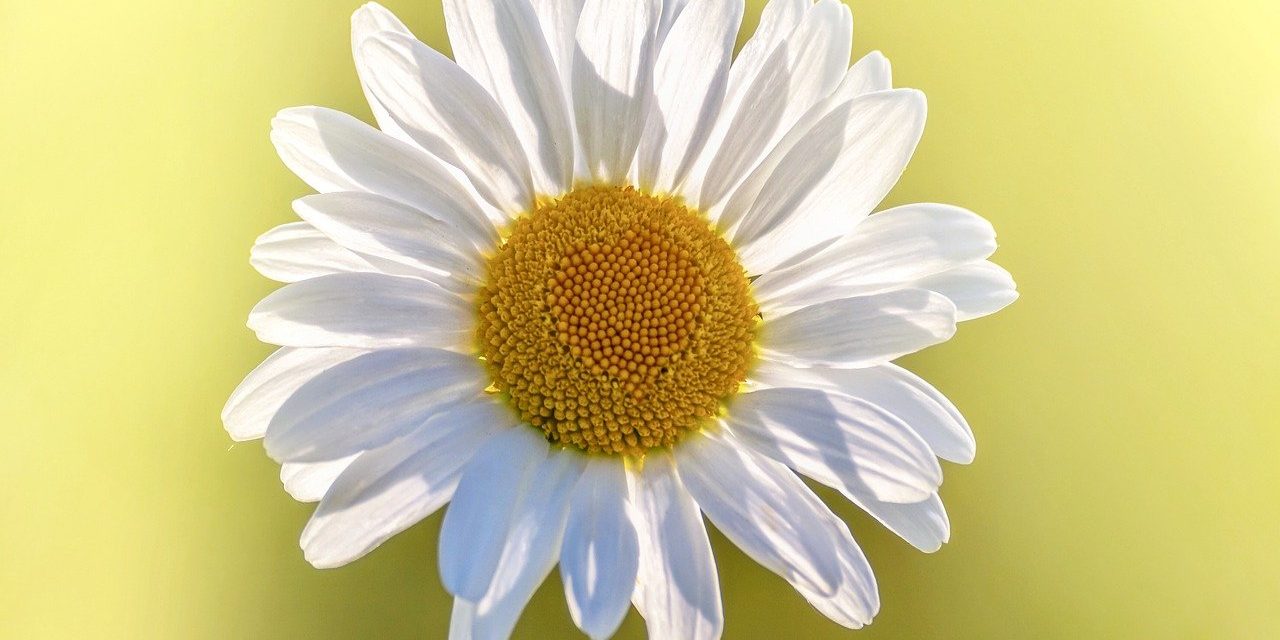 In deze tijd is het belangrijk om te kijken naar wat er wel is, de lichtpuntjes die er ook zijn.