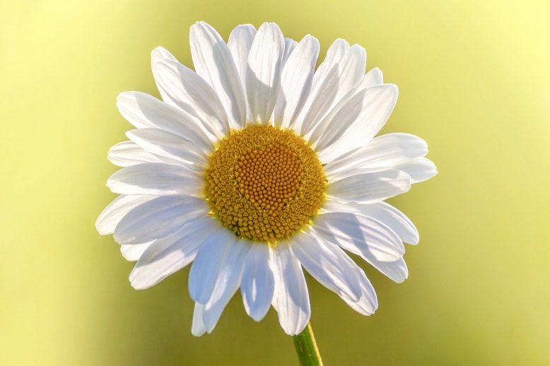 In deze tijd is het belangrijk om te kijken naar wat er wel is, de lichtpuntjes die er ook zijn.