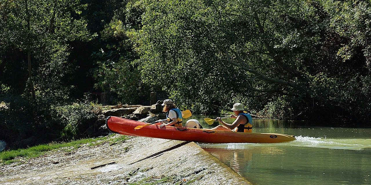 Schrijven komt als een groot struikelblok naar boven in het schrijven van proefschriften.