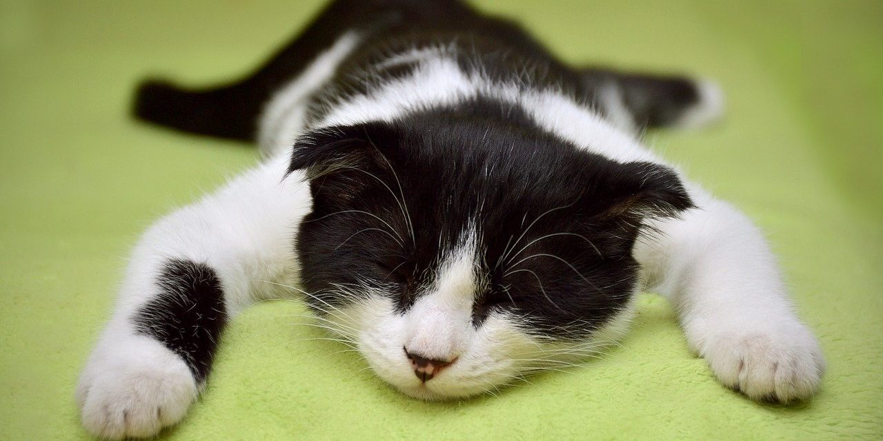 Niets doen is goed voor je en je hebt het nodig.