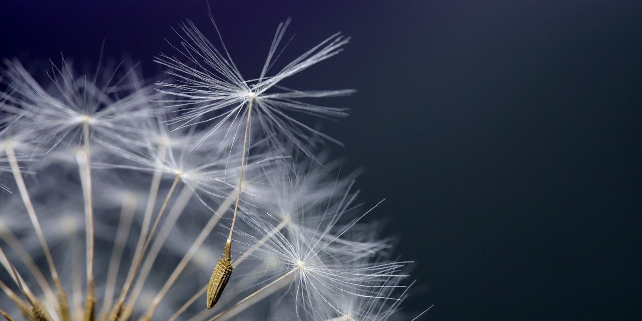 Je ademhaling is een handige tool om je direct beter te voelen.