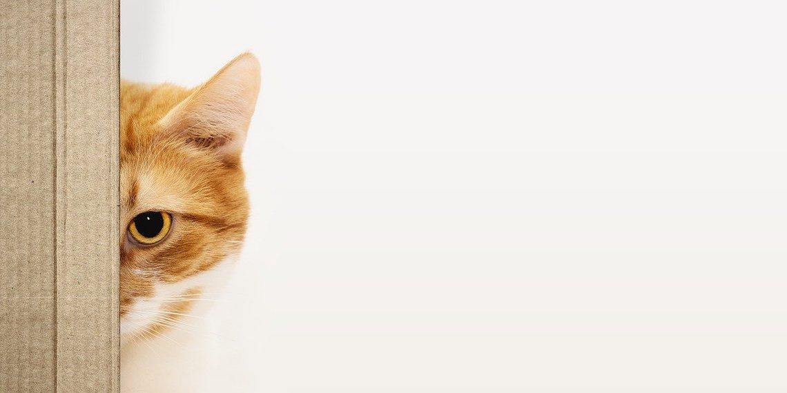 Heb jij ook last van het impostrsyndroom?