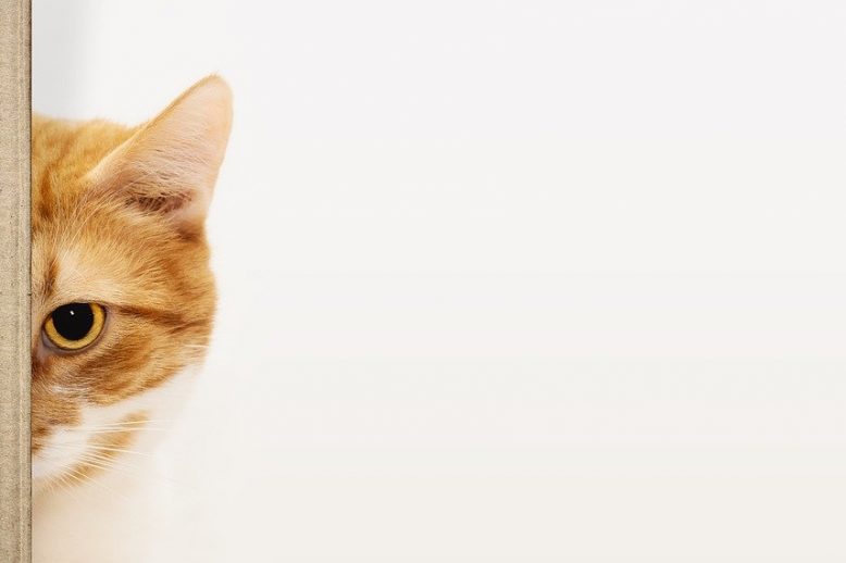 Heb jij ook last van het impostrsyndroom?